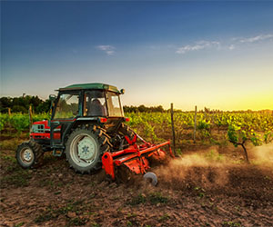 Agriculture