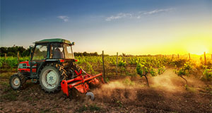 Agriculture